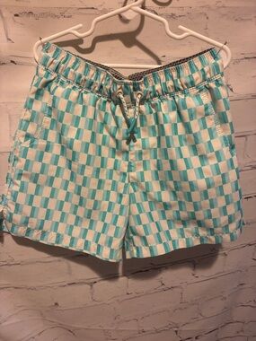 art class Boys Turquoise and White Check Swim Trunks